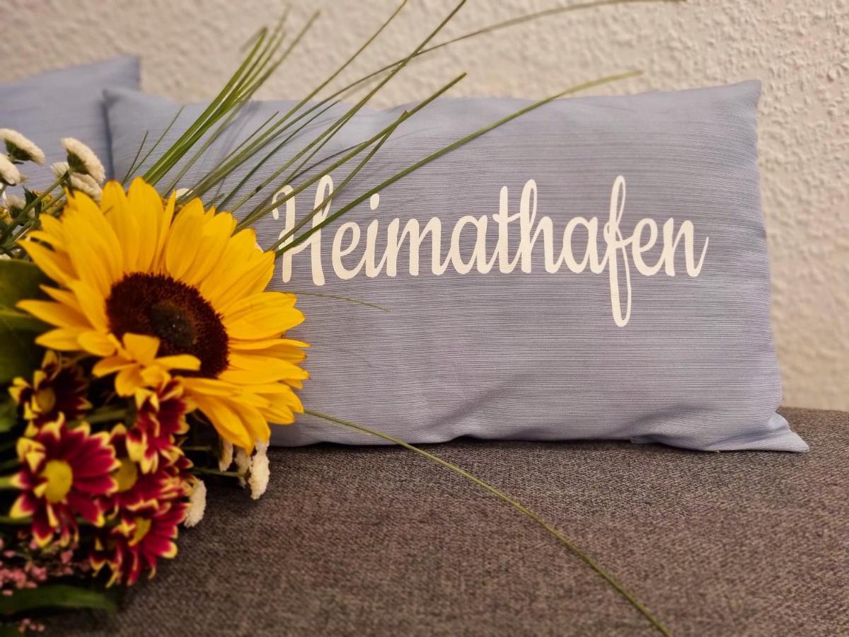 Ferienwohnung Brunnenaue 萨嘎德 外观 照片